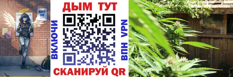 Марихуана тримм  где купить наркоту  Тайшет 